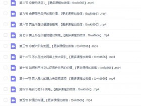 宣宣情感《恋爱术,吸引力的构建》完整版