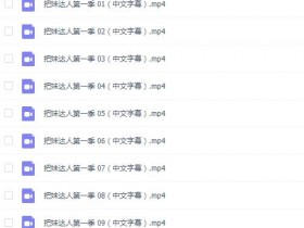 迷男:《把妹达人真人秀》 第一季~第二季中文字幕合集