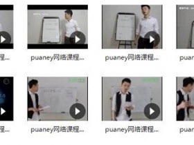 puaney倪《网络课程5.0属性》完整版