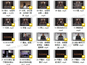 RSD麦迪森 老板BOSS 视频课程