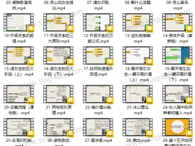 麦子《脱单实战VIP课》视频课程