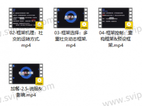 社交光谱《框架大师 社交规则制定者》视频课程
