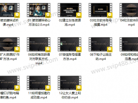 柯老师chris《智选伴侣:男人防止被归零》视频课程